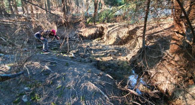 První obhlídka úplně zarostlého prameniště krátce po nalezení Aslanem :)